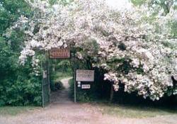 Quigleys Castle Entrance